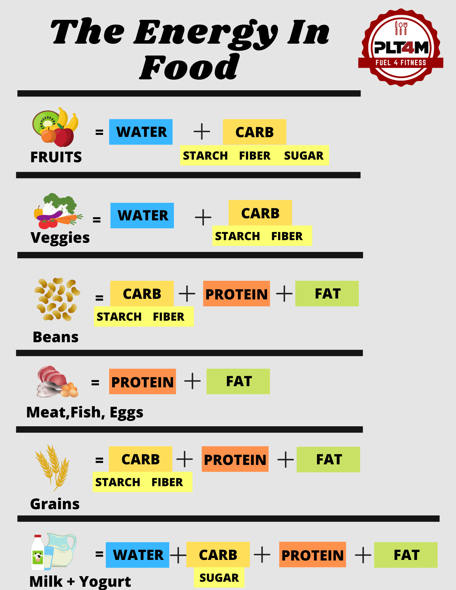 Calories Energy and Chemistry PLT4M