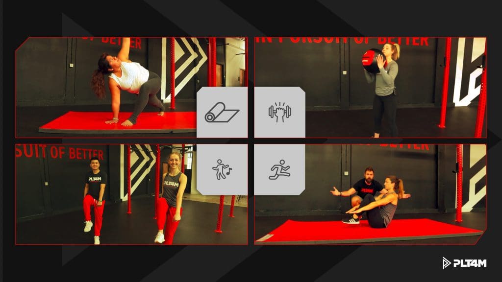 Different images from PLT4M library.