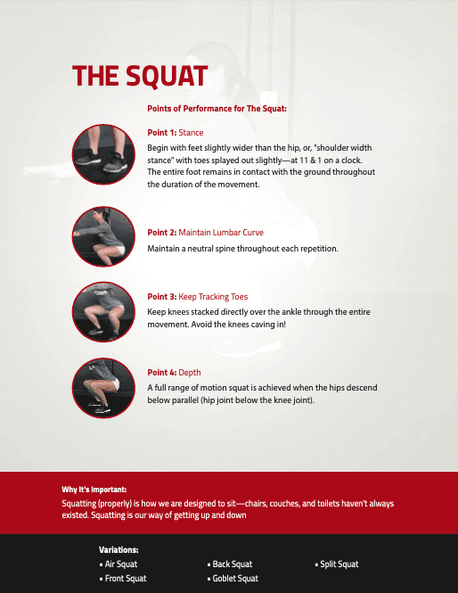 The squat points of performance with images.