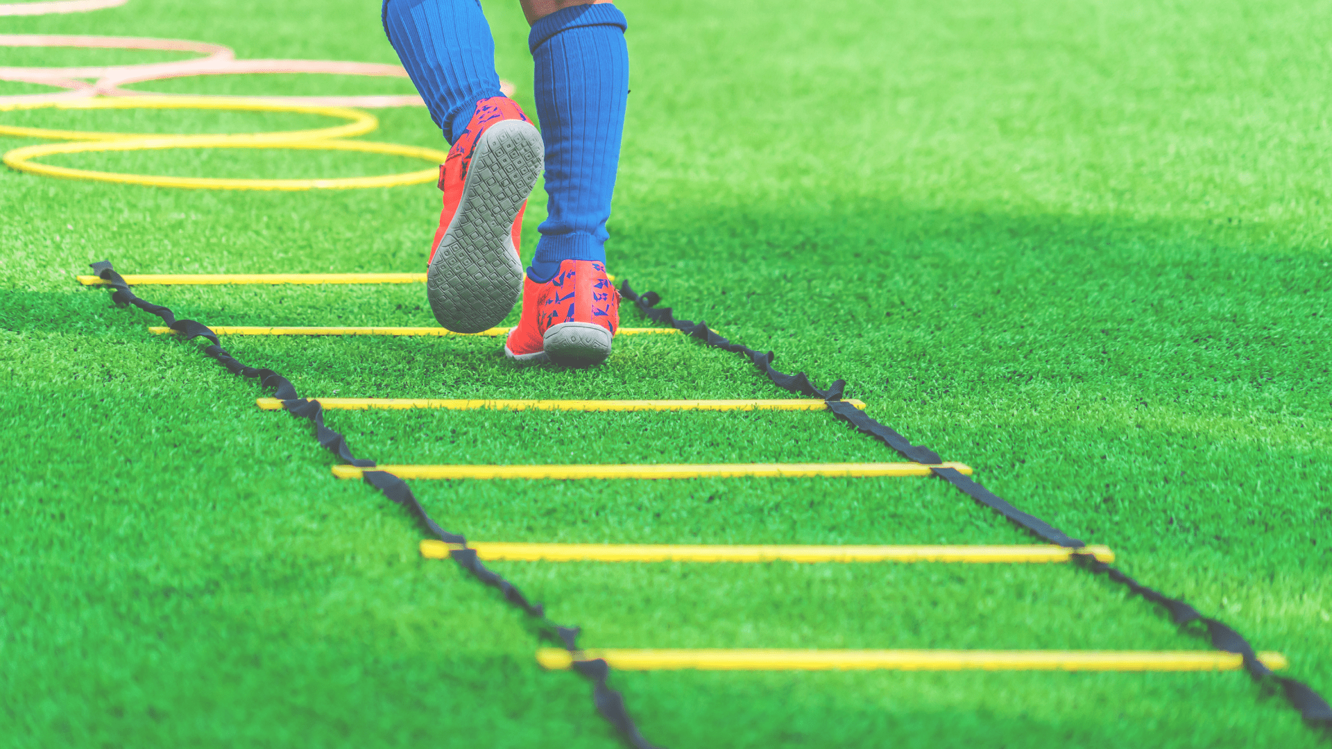 Do Agility Ladders Work? PLT4M