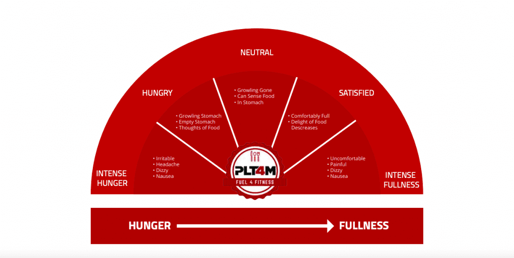 Hunger To Fullness scale that helps students understand energy and calorie needs.